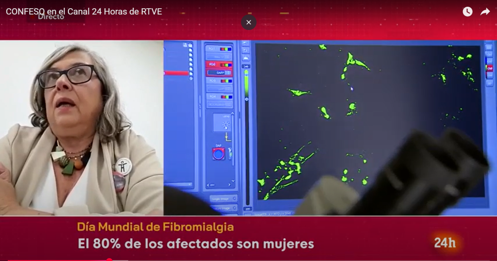 canal 24 h