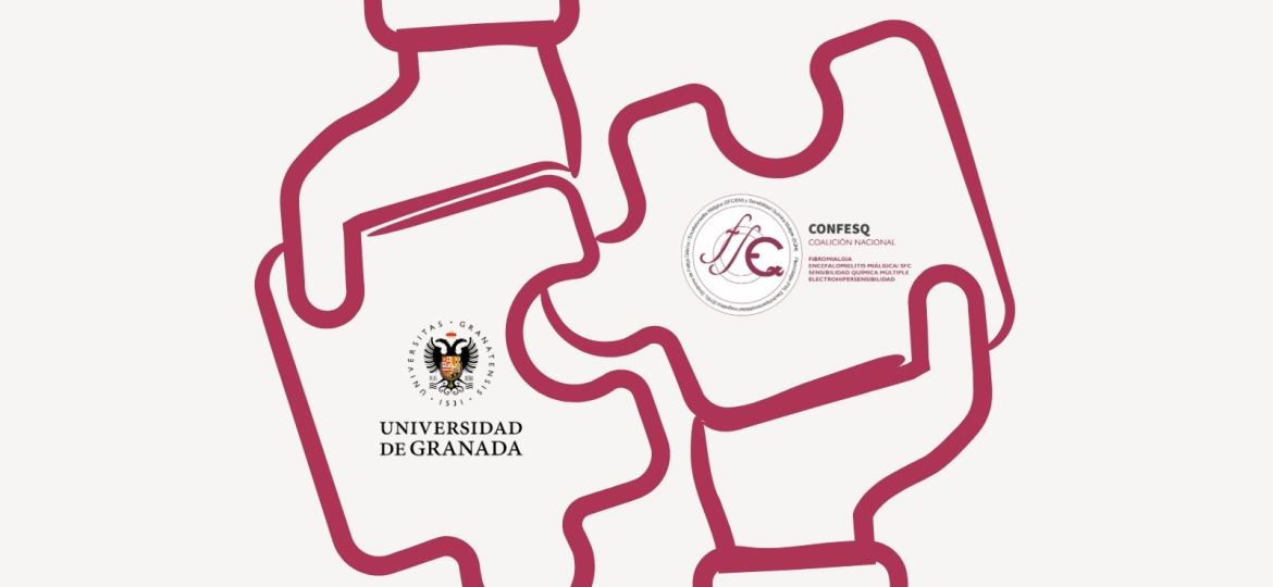 COLABORACIÓN CON FIDELITIS (5)